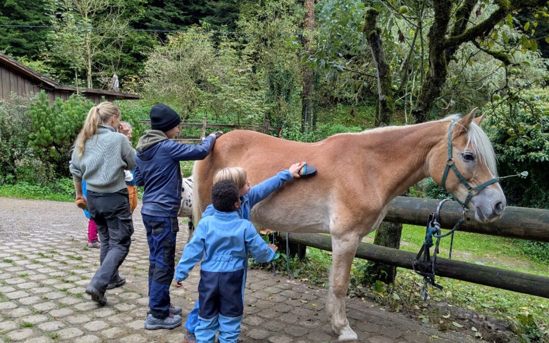 Familientreffen bei h&p Baden-Württemberg