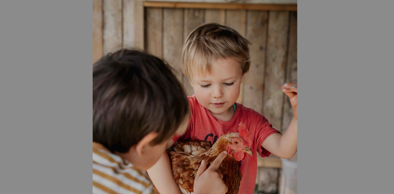 Die zweite Online-Fachtagsreihe des Jahres zum Thema „Störungsbilder gemäß ICD-10“ startet.